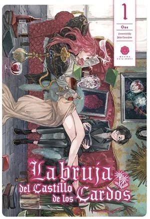 LA BRUJA DEL CASTILLO DE LOS CARDOS 01