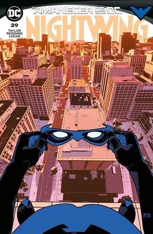 NIGHTWING  29