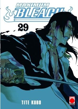 BLEACH MAXIMUM  29