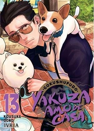 YAKUZA AMO DE CASA  13