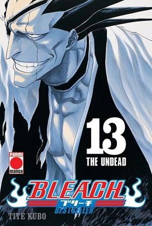 BLEACH BESTSELLER  13