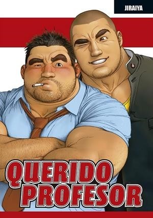 QUERIDO PROFESOR 3ª EDICIÓN