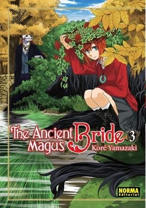 THE ANCIENT MAGUS BRIDE  03