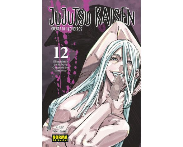 Jujutsu Kaisen 12