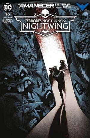 NIGHTWING  30