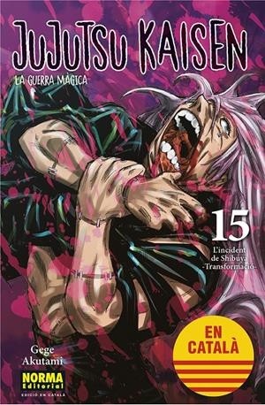 JUJUTSU KAISEN EDICIÓ EN CATALÀ  15