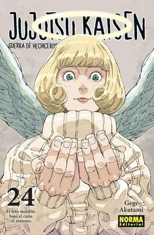 JUJUTSU KAISEN  24